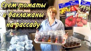 ЖАЛЕЮ что раньше так не СЕЯЛА /  Сею Томаты и Баклажаны На Рассаду.