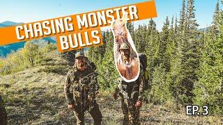 CHASING SCREAMING BULLS | The Elk are Everywhere! | Episode 3