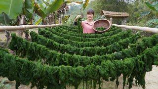 Harvest moss from the stream bed to dry as food. Cook meat with Stone moss specialty - Farm life