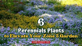 Top 6 Perennials to Elevate Your Zone 5 Garden | Care Plants Tips 