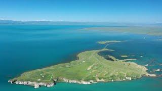 Improved ecology brings fresh look to China's Qinghai Lake