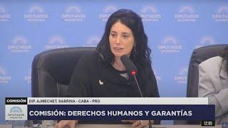 COMISIÓN EN VIVO: DERECHOS HUMANOS Y GARANTÍAS - 3 de abril de 2025 - Diputados Argentina