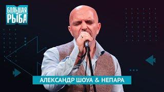 Александр Шоуа & НЕПАРА. Концерт | Живой звук