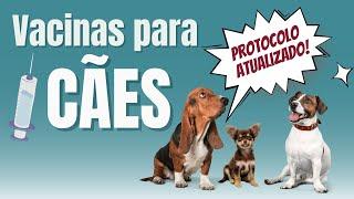 Protocolo de Vacinas para Cães - Atualização