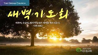 더드림교회 예배 실시간 방송-새벽예배20240719