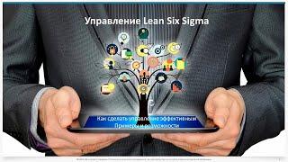 Как управлять программой Lean Six Sigma?