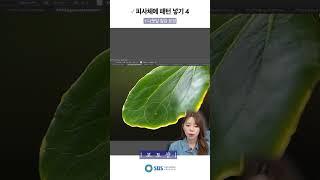 피사체에 패턴 넣기 4 | 포토샵   SBS아카데미컴퓨터아트학원