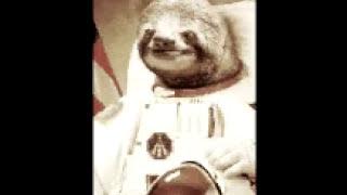 Astro Sloth