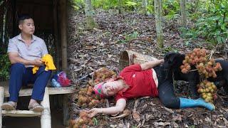 A hard-working service dog saved the life of single mother Ly Thi Diep when she had an accident.