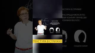 Курсы парикмахеров ОНЛАЙН и ОФЛАЙН #парикмахер #hair #лекция #стрижка #урок #обучение #курс #советы