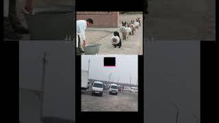 METAN #shok #smartphone #rek #musofir #duet #uzb #prank #gaz #rec #metan