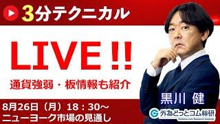 見通しズバリ！3分テクニカル分析「ライブ‼」 ニューヨーク市場の見通し　2024年8月26日