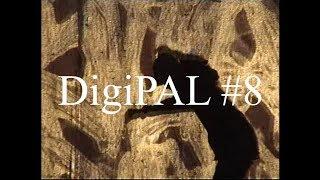 DigiPAL #8