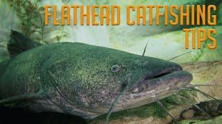 How to Catch Flathead Catfish