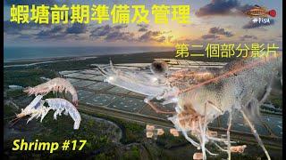 蝦脫殼週期如何影響生成 和餵飼量 (Shrimp molting and feeding in Chinese) #17 | #FISH