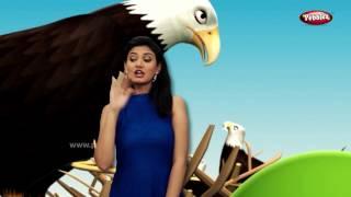 Gujarati Rhymes Collection For Children | Gujarati Action Songs Compilation | Birds Songs Gujarati