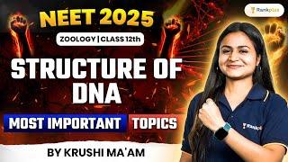 Structure of DNA | Molecular Basis of Inheritance | Zoology Class 12 | NEET 2025 | Krushi Ma'am