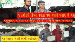 Shree Rajeshwer DairyFarm District Banaskantha Gujarat | Success story of a New DairyFarm| 4musafir