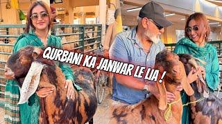 Pehli bar Bakra Mandi gai  || Qurbani k Lia Bakre Leliye || Bari eid ki khushiyan️ #alizehjamali