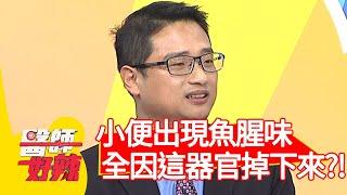 分泌物異味？小便出現魚腥味？全因「這器官」掉下來？！【#醫師好辣】20210325 part2 EP1121 張振榕 王思佳