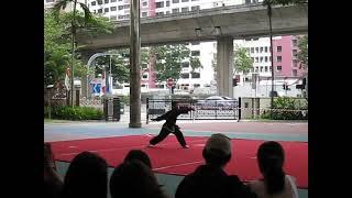 Wushu hub 2008 ziranmen - liuhejian 武轩 自然门 - 六合剑