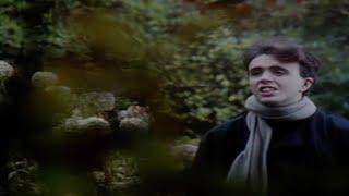 The Icicle Works - Love Is A Wonderful Colour HD