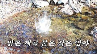 맑청 계곡 딱! 붙은 작은 싸고 좋은 토지땅