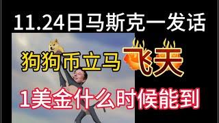 11.24日狗狗币继续飞天！1美金什么时候能到？马斯克已经发话了！