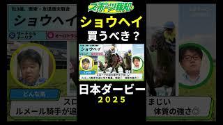 【日本ダービー2025】ショウヘイは買うべき？戦歴、特徴などを解説