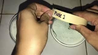 How to grow bacteria in a gelatin | Microbial Growth Cultivation | Rhan Tv