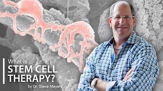 Regenerative Stem Cell Therapy Explained - Dr. Steve Meyers