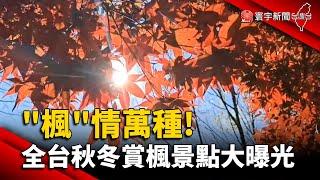 '楓'情萬種! 全台秋冬賞楓景點大曝光｜#寰宇新聞@globalnewstw