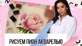 РИСУЕМ ПИОН АКВАРЕЛЬЮ в домашних условиях. Урок Кристины Архиповой