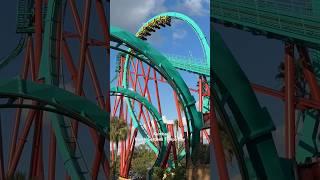 Kumba - #kumba #busch #garden #tampa #bay #florida #usa #rollercoaster #ride #fun #thrill #themepark