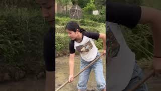 #农村人生活就是这样的 #农民真辛苦干活不容易 #记录我的庄稼地生活