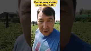 счастливая жизнь, через КАЙДЗЕН планирование