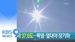 [뉴스9 헤드라인] / KBS뉴스(News)