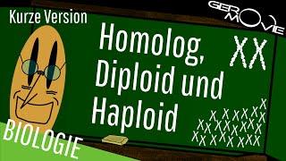 ► Homolog, Diploid und Haploid - verständlich erklärt | Kurze Version