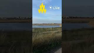 Агенти "АТЕШ" виявили склад бронетехніки в Криму