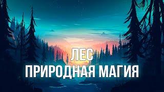 Магия природы. Знакомство с Лесом