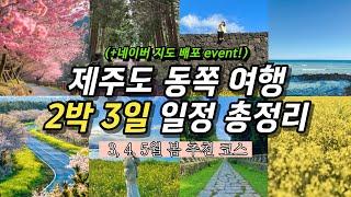 따라만 해도 성공하는 제주도 2박 3일 동쪽 여행 코스 제주 3월 4월 5월 봄 여행 동부 일정 추천 | 유채꽃 벚꽃 명소 포함 핫플 포토존 총정리