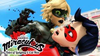 Miraculous Ladybug |  Miraculous Mix  | Ladybug and Cat Noir | Animation