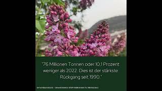 Beim Klimaschutz geht viel zu langsam voran. Es gibt jedoch trotzdem gute Nachrichten.