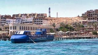 紅海浮潛礁 - 埃及胡爾加達 Snorkel Reef Red Sea, Hurghada (Egypt)