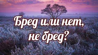 Бред или нет, не бред?