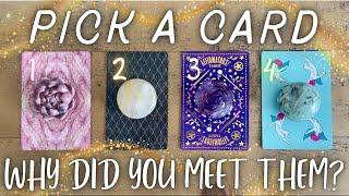 Why Did You Meet the Person on Your Mind? PICK A CARD **Timeless & Super Detailed**