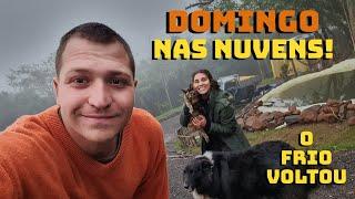 Travelando No Mundo está CONSTRUINDO UM SÍTIO do ZERO ao vivo!