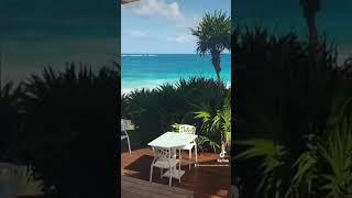  Mi Amor Hotel Tulum