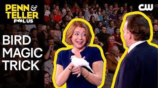 Magician Performs Bird Magic Trick | Penn & Teller: Fool Us | The CW
