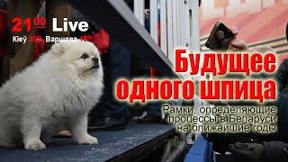 Рамки процессов в Беларуси после 26.01.2025: кто будет определять судьбу Лукашенко